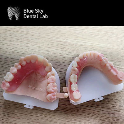 comprar Casos de Procedimiento de Implantes de Plástico: La Solución Definitiva para Organizar y Transportar Implantes Dentales online manufacture