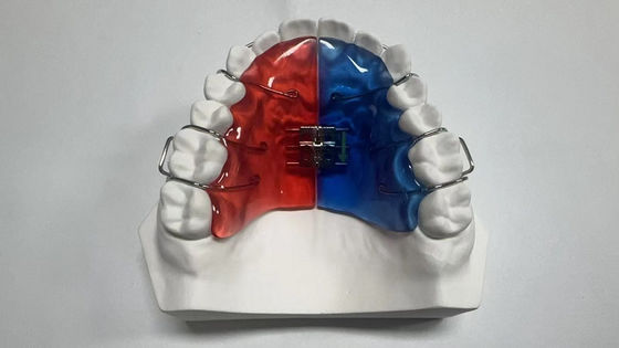 comprar Estuches para implantes de 2.4 onzas para esterilización dental por vapor online manufacture