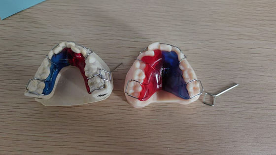 High Durability Dental Implant Case Artificial Implantation Cases for Dental Professionals